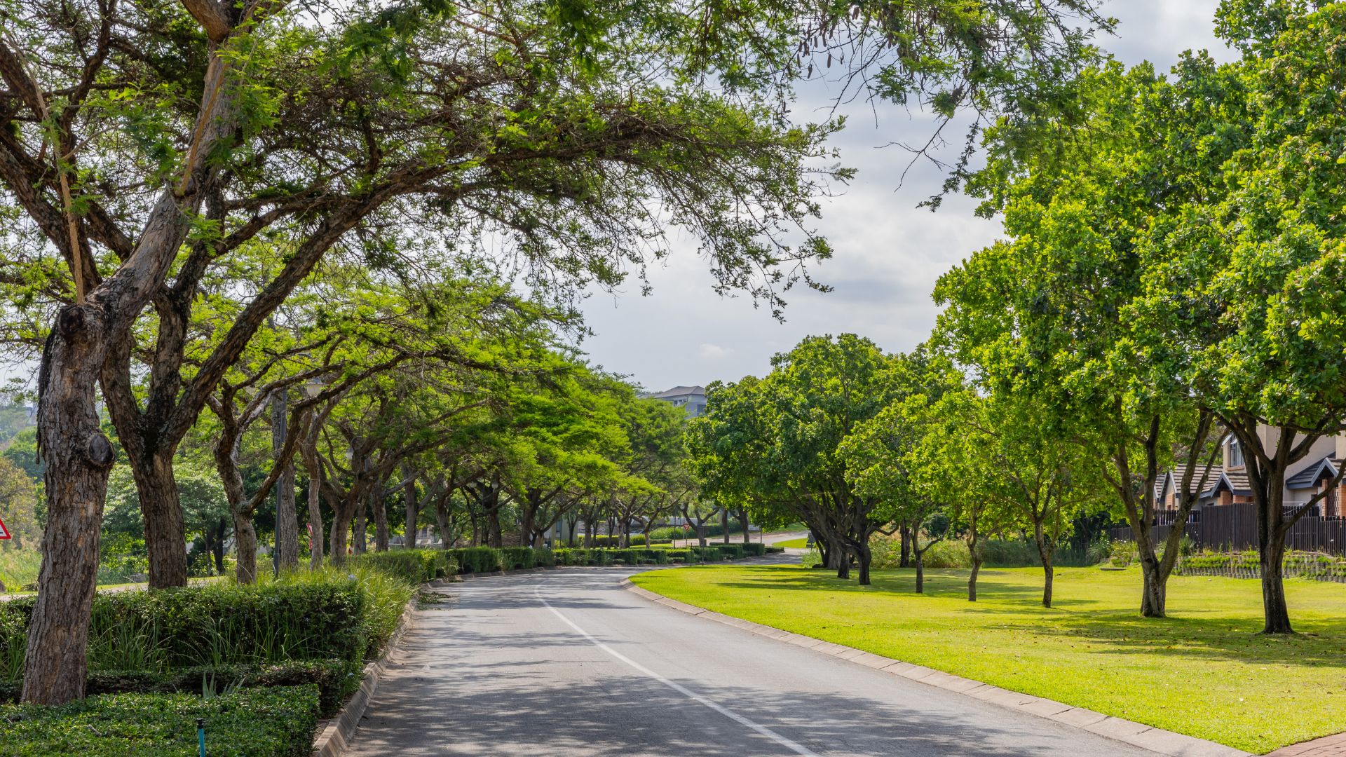 Elawini Estate Landscape